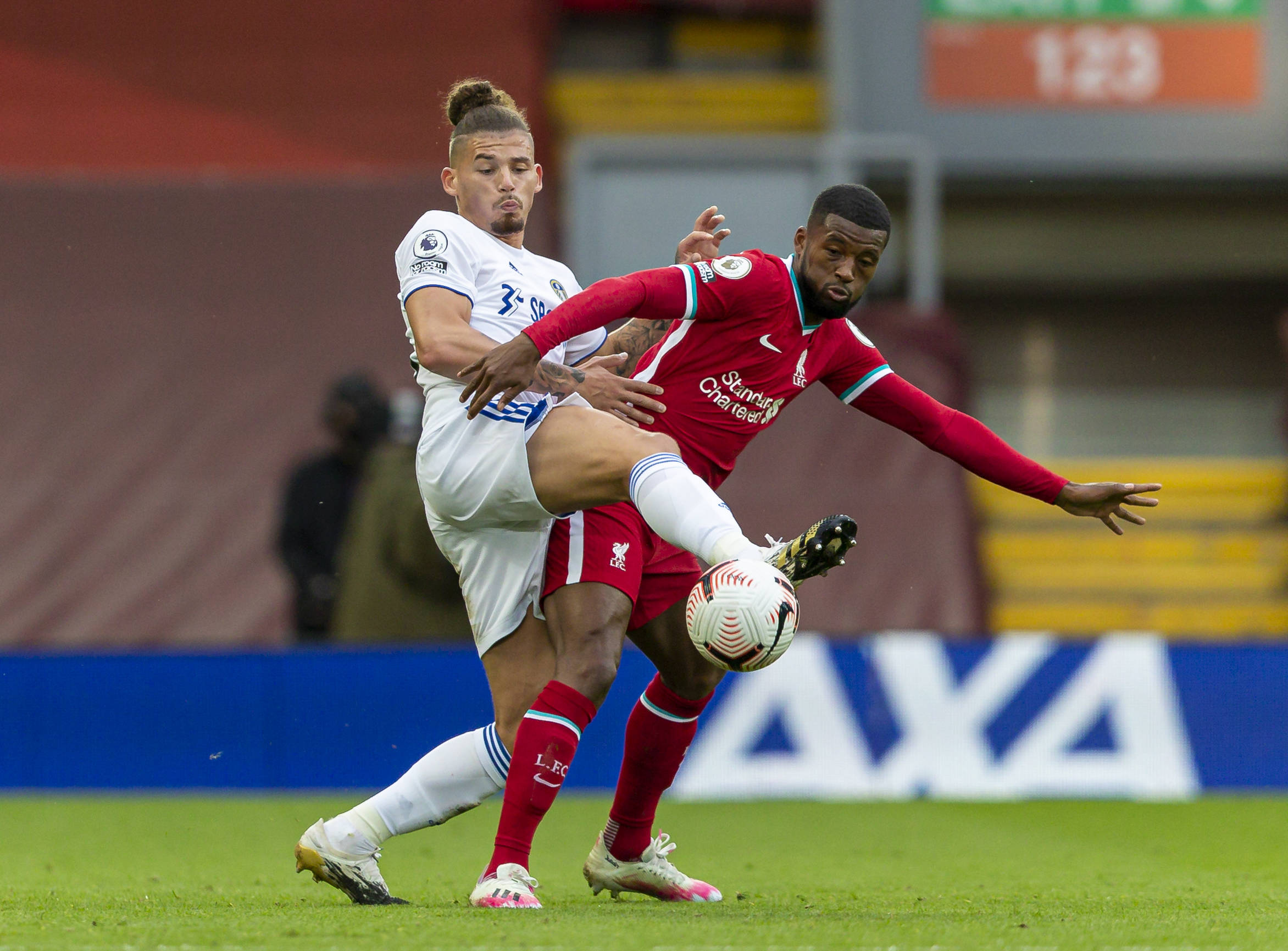 期待未来的 期待未来的